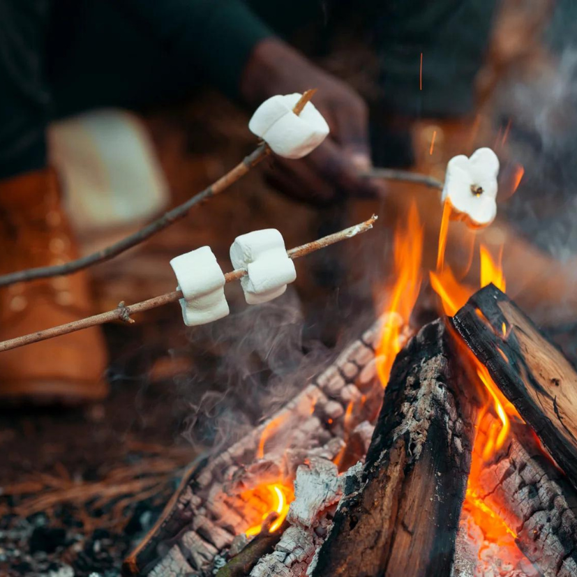 GRILLIN' AND CHILLIN': 10 BBQ RECIPES THAT'LL ROCK YOUR RV ADVENTURE!