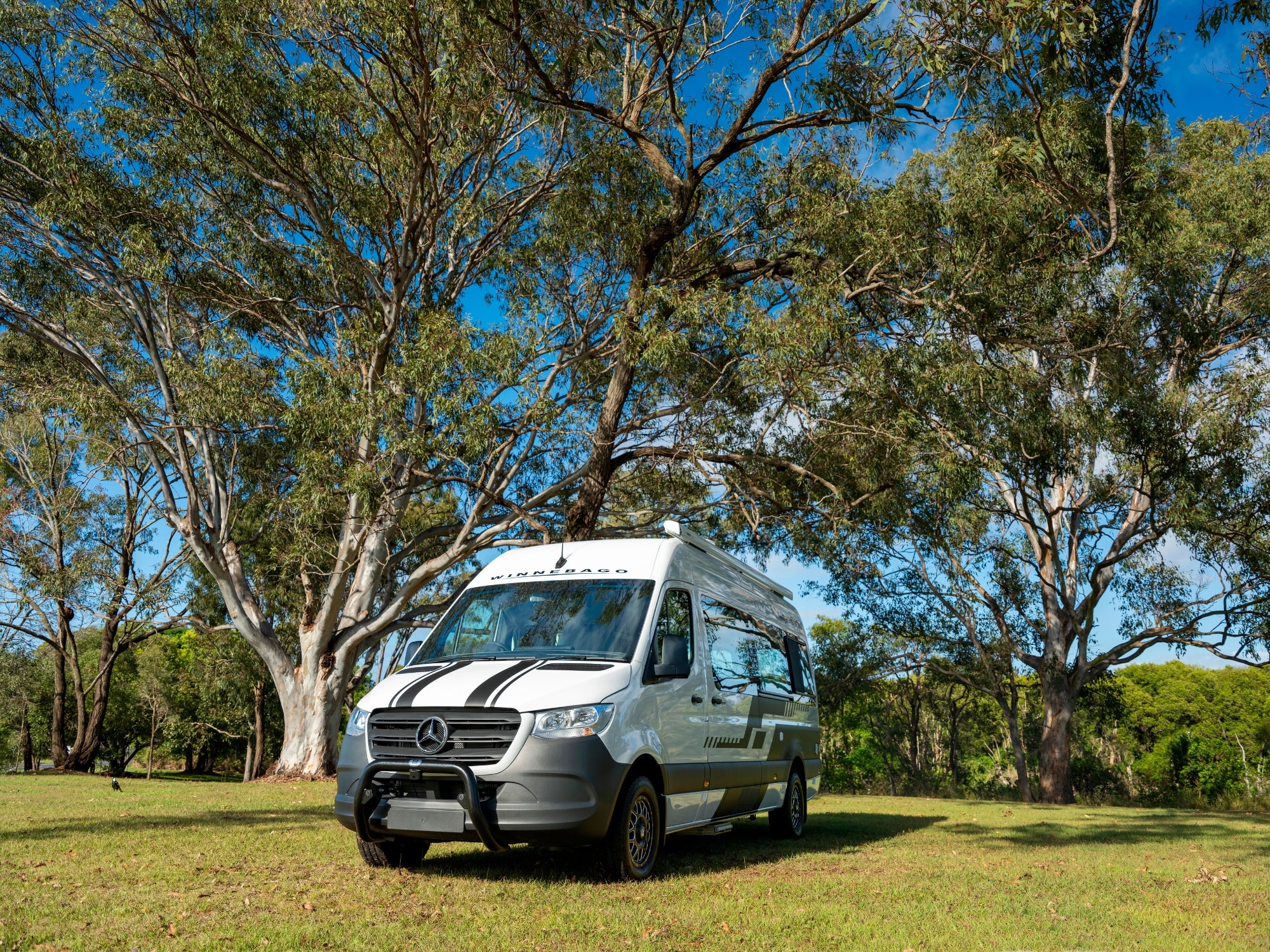 LIMITED EDITION | WINNEBAGO BONDI 2S Sport